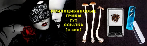 гашик Майский