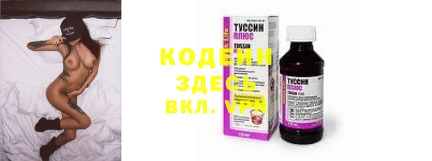 гашик Майский
