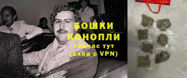 гашик Майский