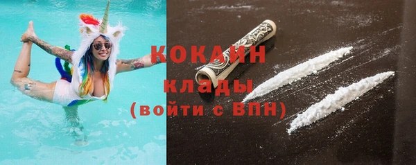 гашик Майский