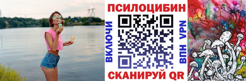 наркошоп  Октябрьский  Галлюциногенные грибы Psilocybe 