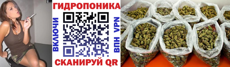 Бошки марихуана Bruce Banner Октябрьский